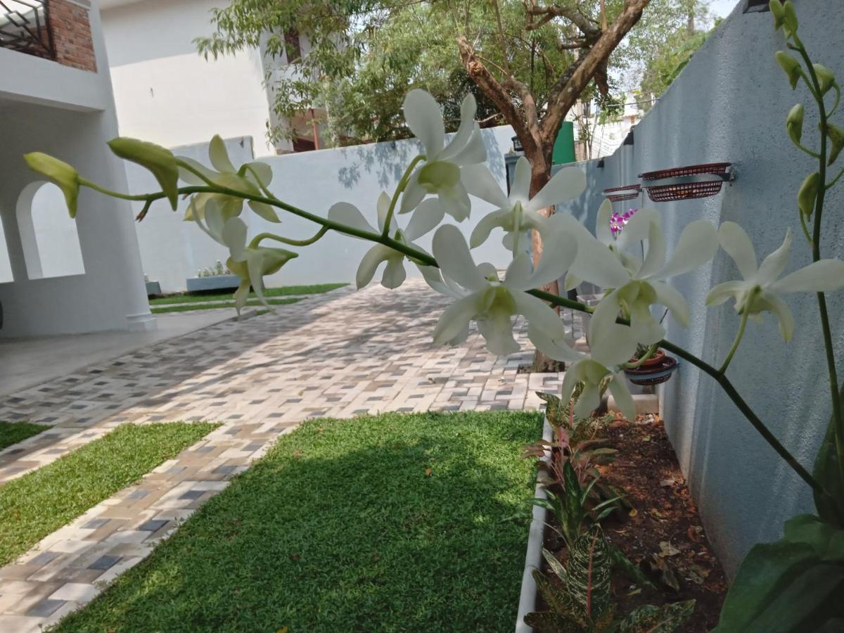 مبيت وإفطار Homagama Sky Bloom المظهر الخارجي الصورة